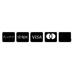 Payment Gateway Paypal, Stripe Visa, Mastercard, AE Vector Logo Download