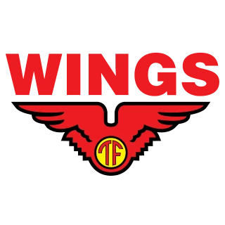 WINGS Group/Corp Logo