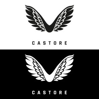 CASTORE Logo PNG, Vector  (AI, EPS, CDR, PDF, SVG)