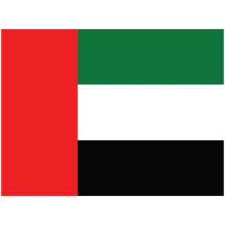 United Arab Emirates (UAE) Flag Icon