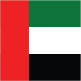 United Arab Emirates (UAE) Square Flag Icon