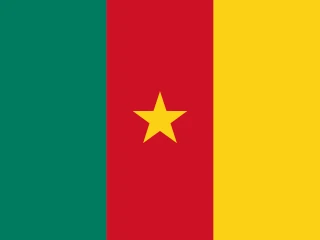 Flag of the Republic of Cameroon