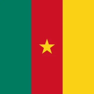 Flag of the Republic of Cameroon [Square Flag]