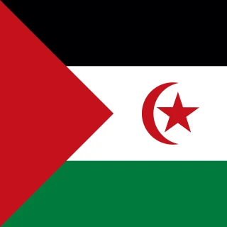 Flag of the Sahrawi Arab Democratic Republic [Square Flag]