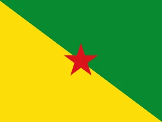 Flag of the Guyane