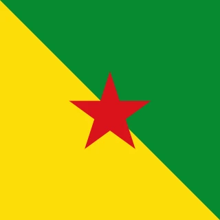 Flag of the Guyane [Square Flag]