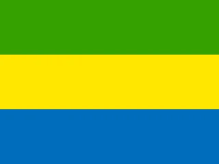 Flag of the Gabonese Republic