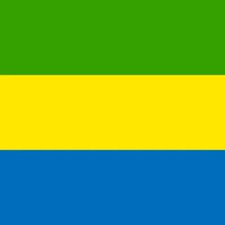 Flag of the Gabonese Republic [Square Flag]