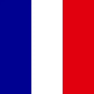 Flag of the French Republic [Square Flag]