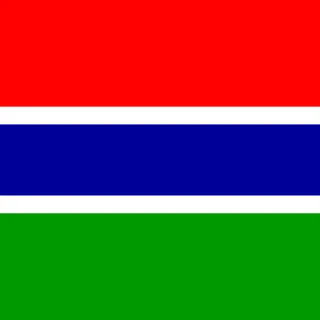 Flag of the Republic of The Gambia [Square Flag]
