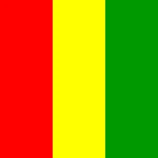 Flag of the Republic of Guinea [Square Flag]