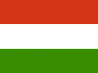 Flag of the Hungary 