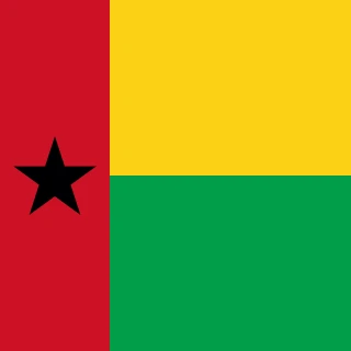 Flag of the Republic of Guinea-Bissau [Square Flag]
