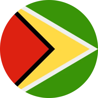 Flag of the Co-operative Republic of Guyana (Circle, Rounded Flag)