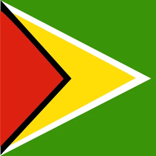 Flag of the Co-operative Republic of Guyana [Square Flag]