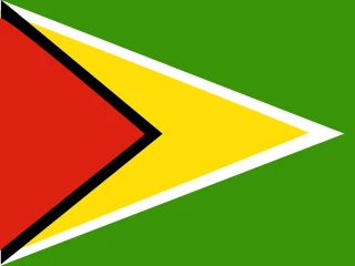 Flag of the Co-operative Republic of Guyana 