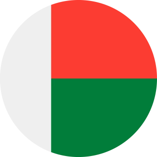 Flag of the Republic of Madagascar (Circle, Rounded Flag)