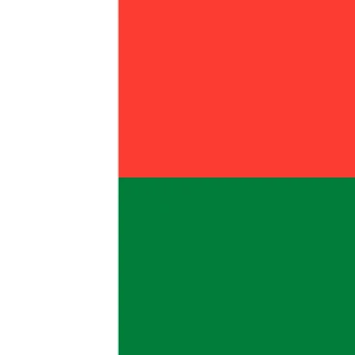 Flag of the Republic of Madagascar [Square Flag]