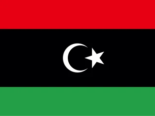 Flag of the LY State of Libya 