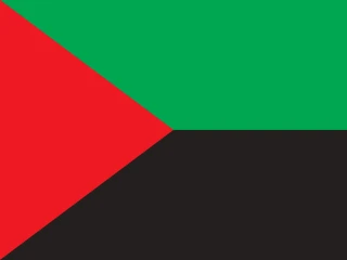 Flag of the MQ Martinique 