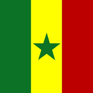 Flag of the Republic of Senegal [Square Flag]