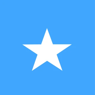 Flag of the Federal Republic of Somalia [Square Flag]