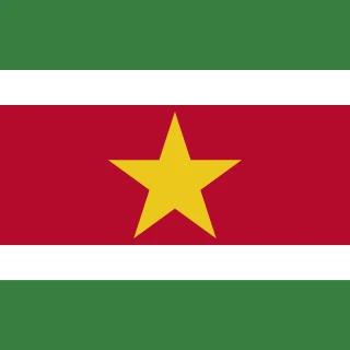 Flag of the Republic of Suriname [Square Flag]