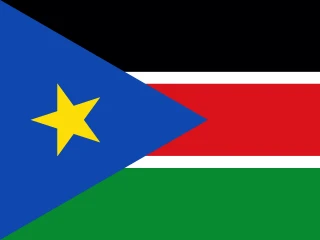 Flag of the SS Republic of South Sudan 