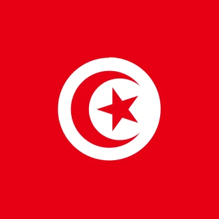 Flag of the Republic of Tunisia [Square Flag]