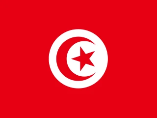 Flag of the TN Republic of Tunisia 