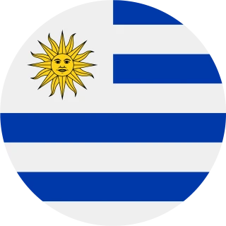 Flag of the Oriental Republic of Uruguay (Circle, Rounded Flag)