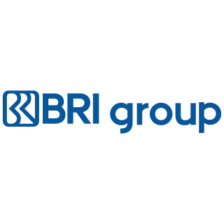 BRI Group logo