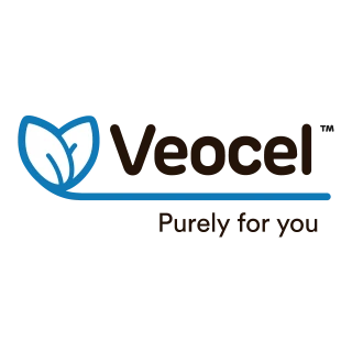 VEOCEL Logo PNG,  Vector (AI, EPS, CDR, PDF, SVG)