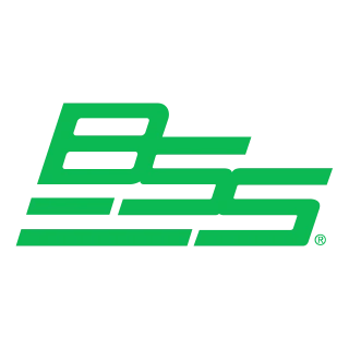 BSS (Audio) Logo PNG,  Vector (AI, EPS, CDR, PDF, SVG)