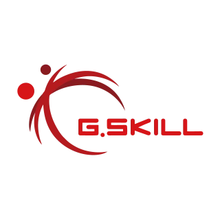 G.Skill Logo PNG,  Vector (AI, EPS, CDR, PDF, SVG)