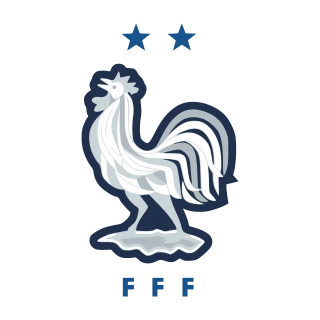 France national football team Logo PNG,  Vector (AI, EPS, CDR, PDF, SVG)