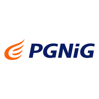 PGNiG Logo PNG,  Vector (AI, EPS, CDR, PDF, SVG)