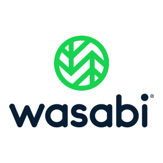 Wasabi Technologies Logo PNG,  Vector (AI, EPS, CDR, PDF, SVG)