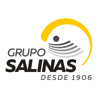 Grupo Salinas Logo PNG,  Vector (AI, EPS, CDR, PDF, SVG)