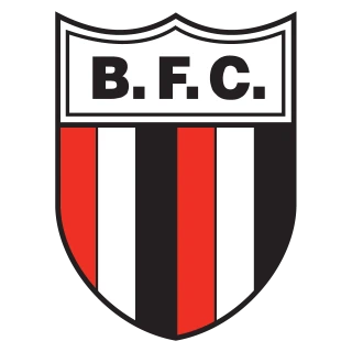 Botafogo Futebol Clube (SP) Logo PNG,  Vector (AI, EPS, CDR, PDF, SVG)