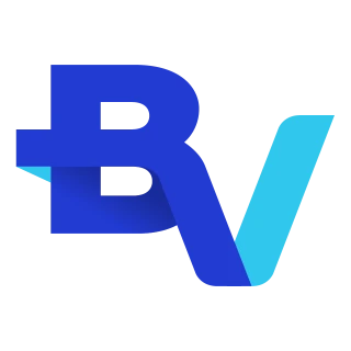 banco BV Logo PNG,  Vector (AI, EPS, CDR, PDF, SVG)