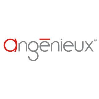 Angénieux Logo PNG,  Vector (AI, EPS, CDR, PDF, SVG)