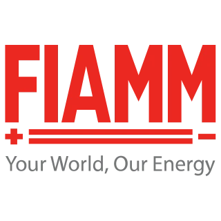 FIAMM Logo PNG,  Vector (AI, EPS, CDR, PDF, SVG)