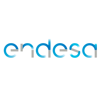 Endesa Logo PNG,  Vector (AI, EPS, CDR, PDF, SVG)