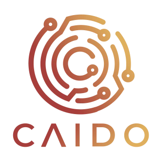 Caido Logo PNG,  Vector (AI, EPS, CDR, PDF, SVG)