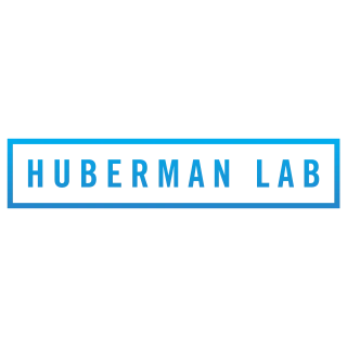 Huberman Lab logo