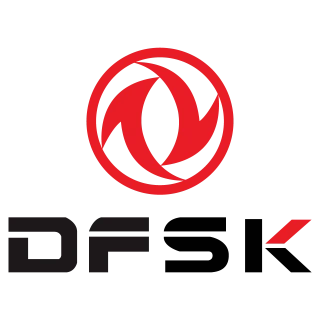 DFSK logo